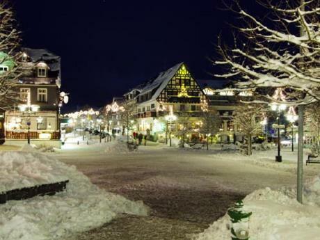 Stadtwohnung Schneeflocke Winterberg Exterior photo